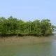 Best travel spot Bangladesh Sundarbans