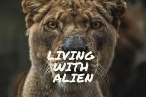 Living-with-alien