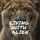 Living-with-alien