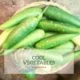 Cool-vegetables Foods to reduce body heat