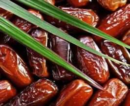 date-fruits