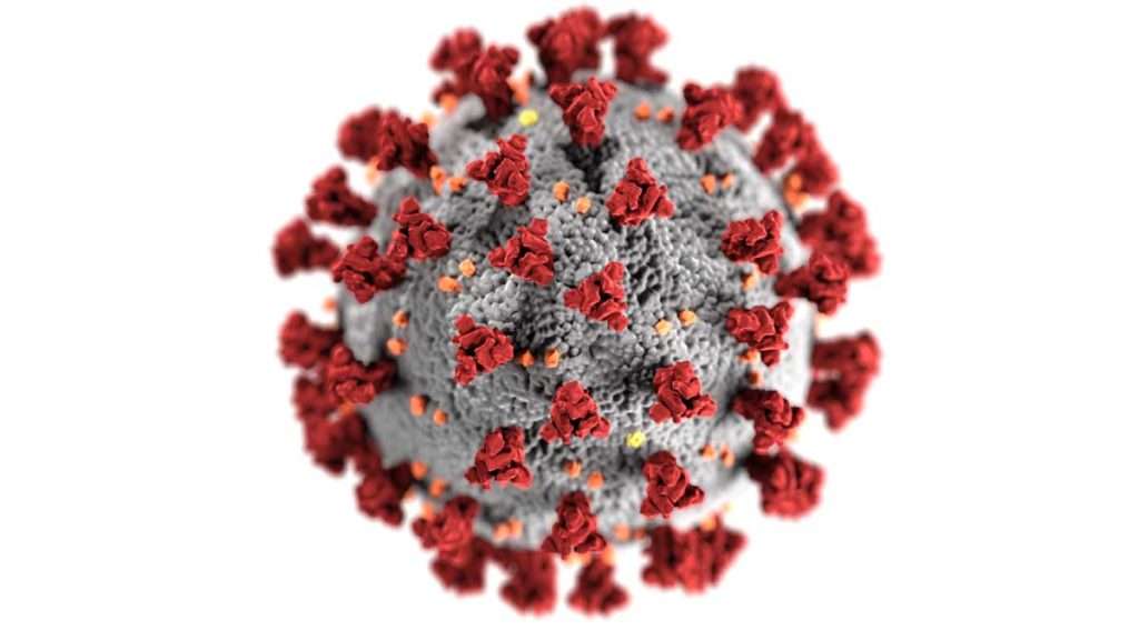 Bangladesh coronavirus latest update