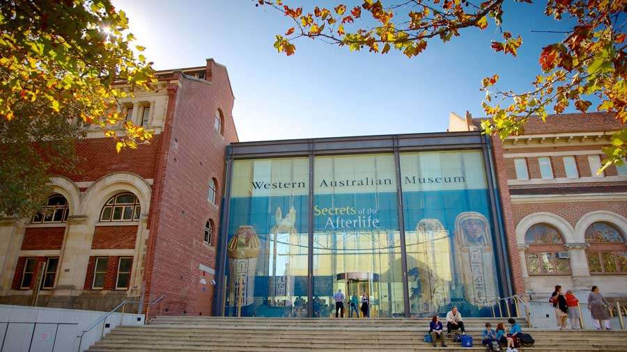 Western-Australian-Museum