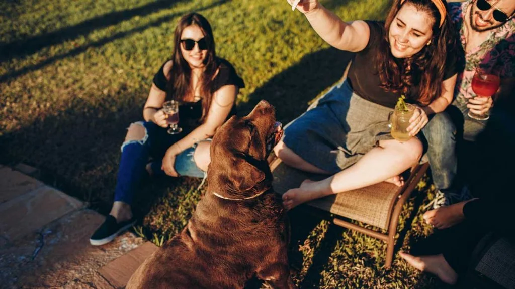 woman-feeding-foods of her dog