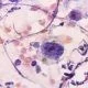 cervical-cancer
