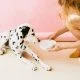 Photo by Daria Shevtsova from Pexels- balance dog food