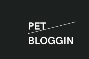 Pet blogging
