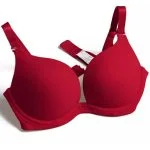 Sexy bra