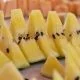 Yellow watermelon