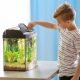 Best fish tanks for beginners