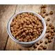 How to make dog food at home safely