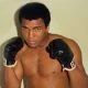 Top 5 greatest big shot boxers of all time in the US