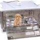 Incubator for puppies