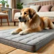 Best Dog Mat